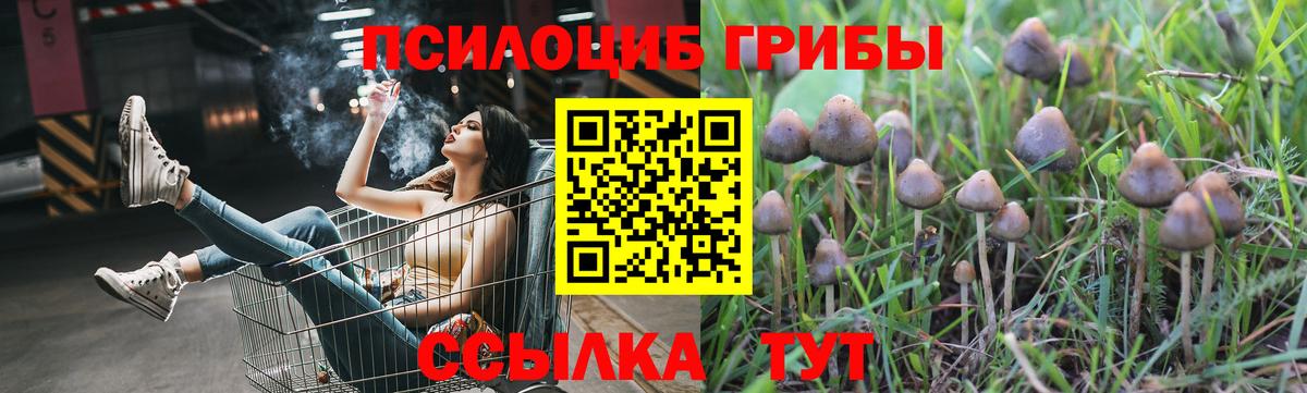 Галлюциногенные грибы прущие грибы  Вход с VPN  Киреевск 