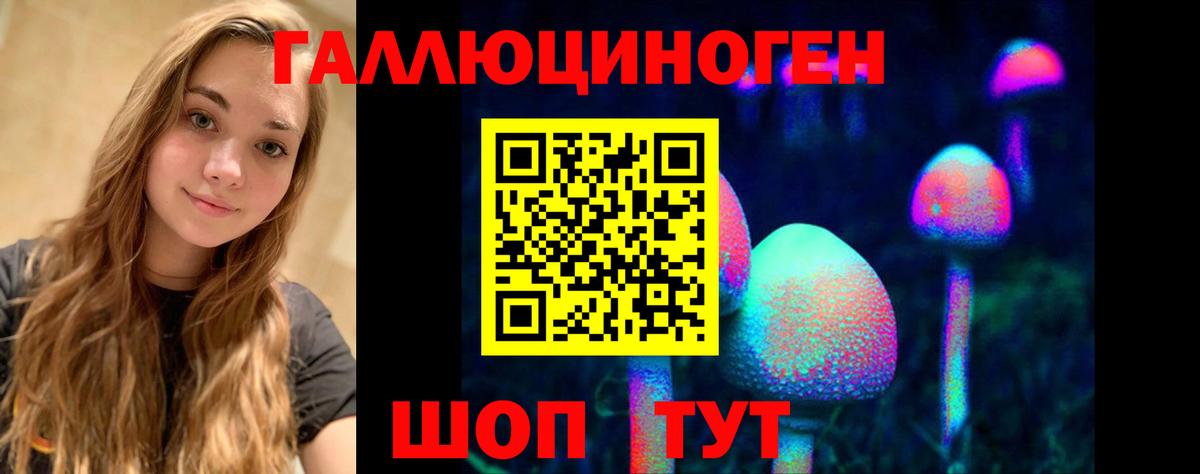 Меф кристаллы  Меф МЯУ МЯУ  А ПВП СОЛЬ   Вход с VPN  Экстази  Киреевск  Где купить наркотики? 